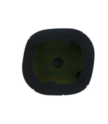 AIR FILTER PO TRIUMPH TF '24