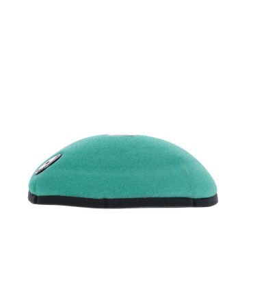 AIR FILTER PO TRIUMPH TF '24