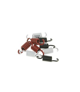 CLUTCH SPRING KIT SPORT
