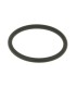 EXHAUST GASKET