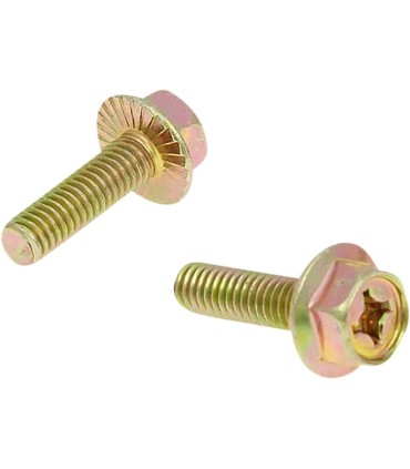 EXHAUST SCREWS
