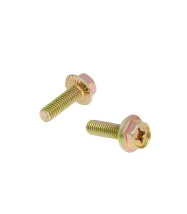 EXHAUST SCREWS