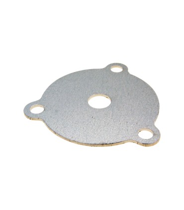 EXHAUST RESTRICTOR PLATE