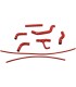 RADIATOR HOSE KIT DUC RD