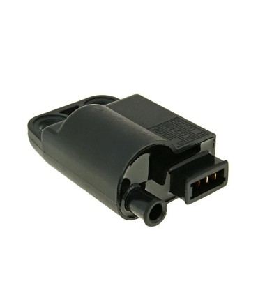 CDI UNIT W/ IGNITION COIL