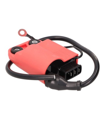 CDI UNIT W/ IGNITION COIL