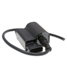 CDI UNIT W/ IGNITION COIL