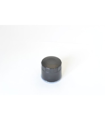 OIL FILTER SUZ/CAG