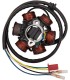 STATOR CAN-AM