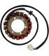 STATOR TRIUMPH