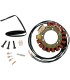 STATOR HONDA CMX450