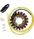 STATOR SUZUKI GZ250