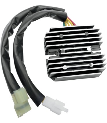 REC/REG SU DL/SV 650/1000