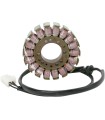 STATOR TRIUMPH