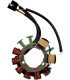 STATOR ARCTIC CAT