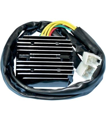 REG/REC DUCATI 10-008