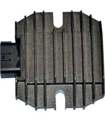 REG/REC SUZUKI 10-208