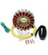 STATOR HONDA