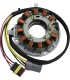 STATOR SKI DOO