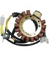 STATOR SUZUKI 21-817