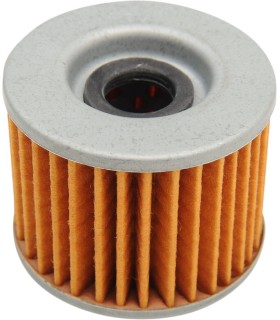 FLTR-OIL ASCOT HON 15412
