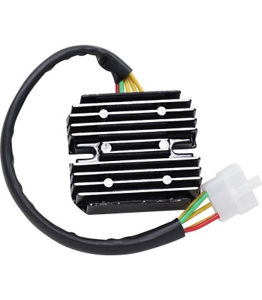 REGULATOR/REC LITH-ION