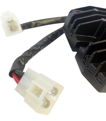 REC/REG LITH-ION HOT SHOT