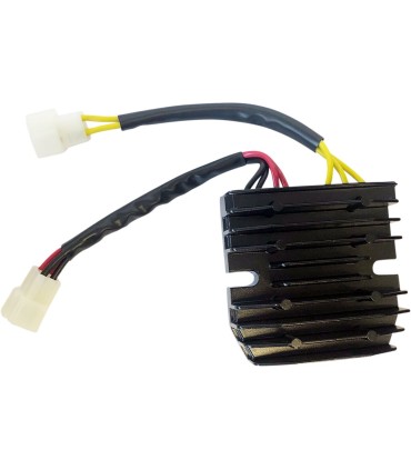 REC/REG LITH-ION HOT SHOT