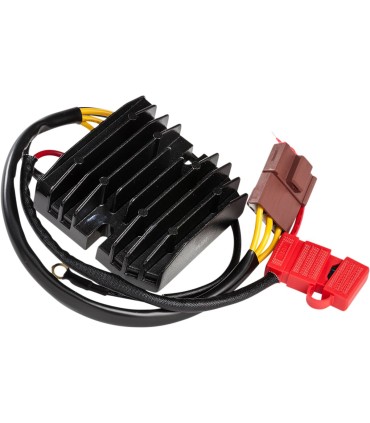 REC/REG LITH-ION HOT SHOT