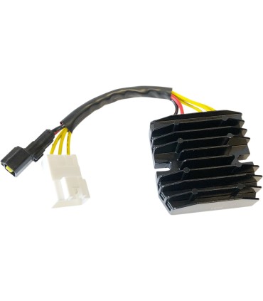 REC/REG LITH-ION HOT SHOT