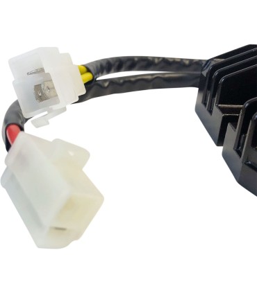 REC/REG LITH-ION HOT SHOT