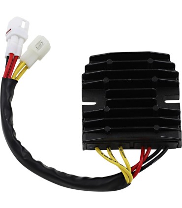 REC/REG LITH-ION HOT SHOT