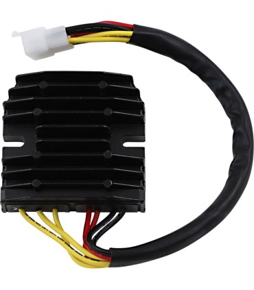 REC/REG LITH-ION HOT SHOT