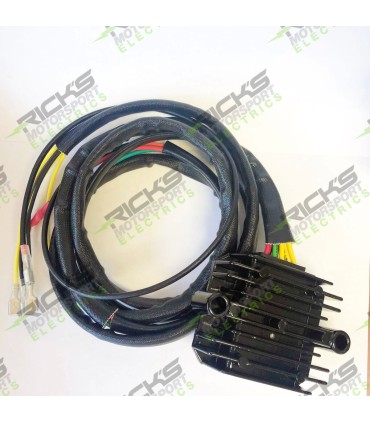 REG L-ION BMW UNIV 14-002