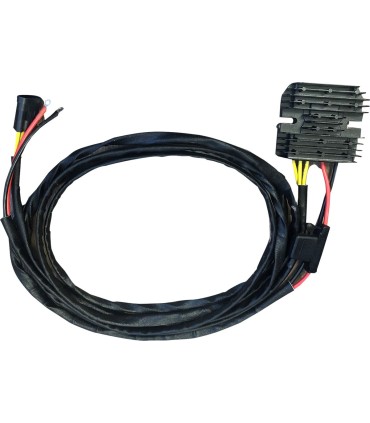 REG/REC HS POLARIS RZR