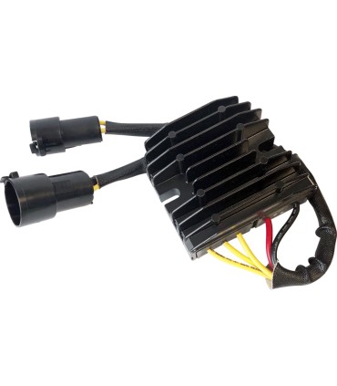 REC/REG HOT SHOT KAWASAKI