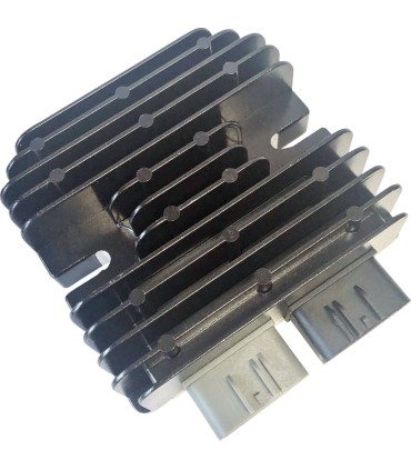 REC/REG HOTSHOT CAN AM