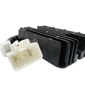 REC/REG HT SHOT LITH COMP