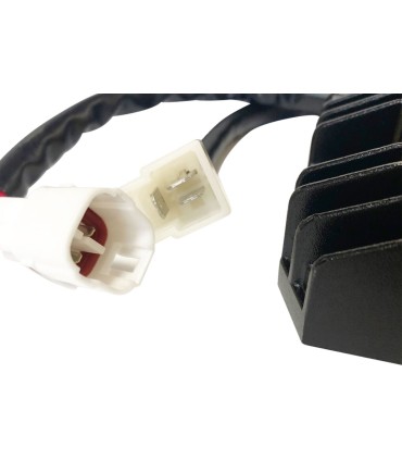 REC/REG HT SHOT LITH COMP