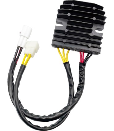 REC/REG HT SHOT LITH COMP