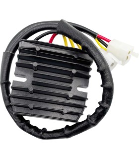 REC/REG HT SHOT LITH COMP