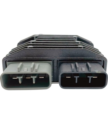 REC/REG LITH COMP INDIAN