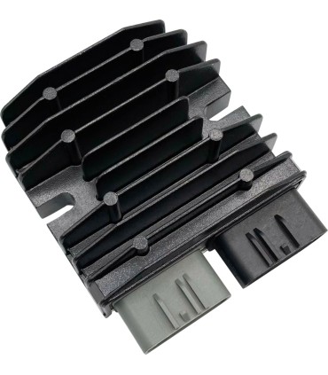 REC/REG LITH COMP INDIAN