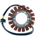 OE STYLE DUCATI STATOR