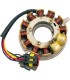 OE STYLE SKI DOO STATOR