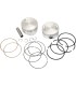 STD.PISTONS 100/7MOTOR