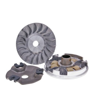 VARIATOR KIT