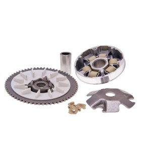 VARIATOR KIT
