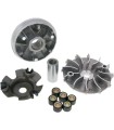 VARIATOR KIT