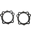 GASKET HD .04EVO 3.625
